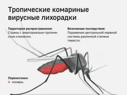 Памятка по профилактике заболеваний, передающихся при укусе комаров, при совершении туристических поездок