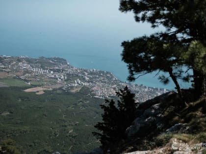 Аксенов рассказал о лечении участников СВО в санаториях Крыма