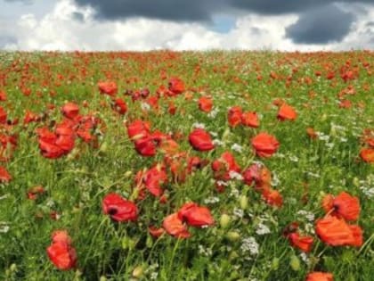 Будет ли сегодня дождь в Крыму?