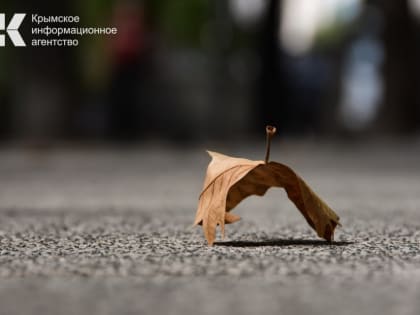 На выходных в Крыму будет облачно, местами пройдут небольшие дожди