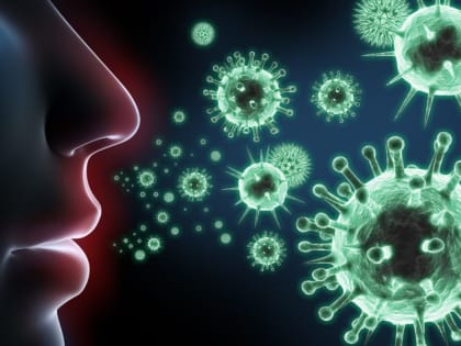 Заболеваемость гриппом и ОРВИ.