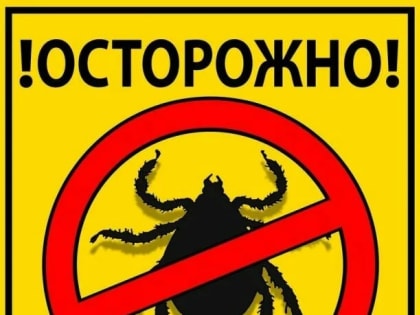 Профилактика клещевых инфекций