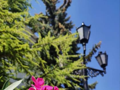 Доброе утро, севастопольцы!