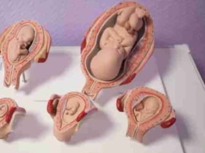 Частные клиники Крыма отказались делать аборты