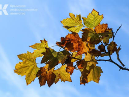 В Крым идет небольшое похолодание