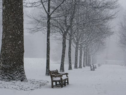 Юг России сковали морозы и снегопады: надвигается аномальное похолодание