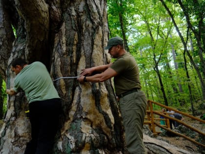 В Ялте определяют точные параметры знаковых природных объектов