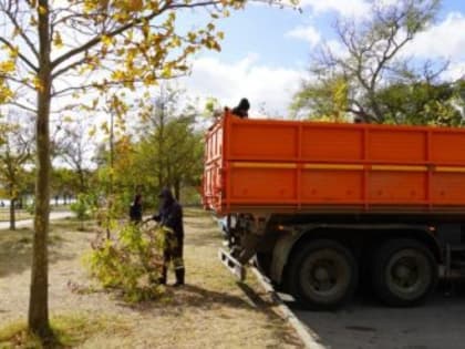 Ураганный ветер в Керчи оборвал провода и поломал ветки деревьев