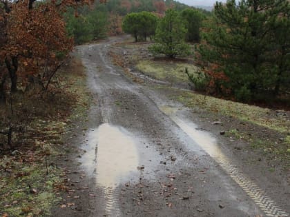 Погода на 13 декабря 2022 года в Крыму и Севастополе: воздух прогреется до плюс 11 градусов