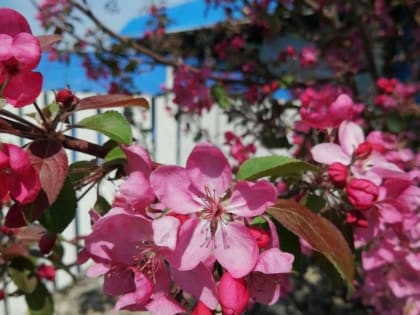 Доброе утро, севастопольцы!