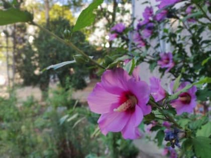 Доброе утро, севастопольцы!