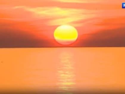 Аномальное тепло в Крыму разбудит клещей