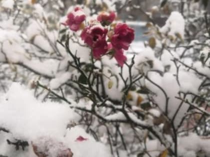 В Крыму обещают сильный снег и гололёд