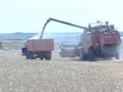 В Красноперекопском районе продолжается уборочная страда