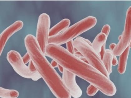 В Севастополе ребёнок с туберкулёзом посещал детский сад на протяжении месяца