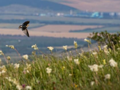 Август в Крыму начнется с жары и дождей