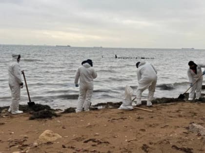 Работающим на берегах Крыма и Кубани волонтерам обеспечат медпомощь – Кремль