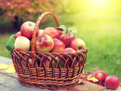19 августа – Яблочный  Спас. Как выбрать и хранить яблоки