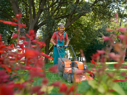 Большая Ялта: Зелёные Просторы и Их Значение