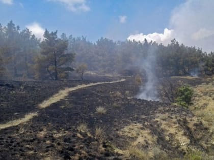 В районе Лисьей бухты в Крыму горит лес