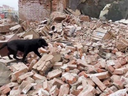 Количество пострадавших в Сергиевом Посаде увеличилось до 80 человек