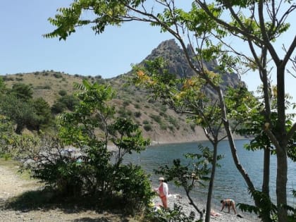 Погода на 1 августа 2023 года в Крыму и Севастополе: воздух прогреется до плюс 31 градуса