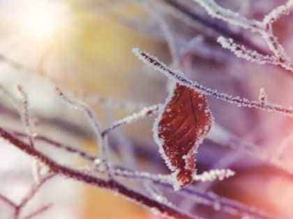 По Крыму ударят морозы: минусовые температуры продержатся до конца недели