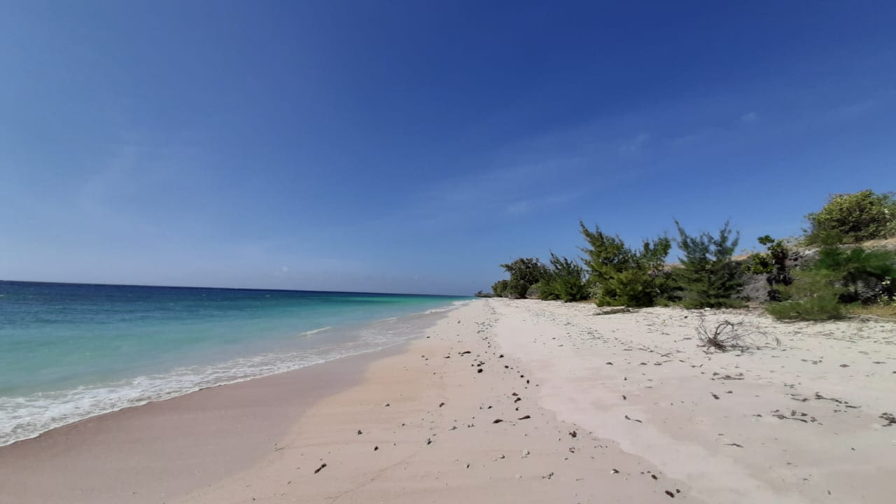 Large Land Opportunity in East Sumba – Beachfront & Savannah View