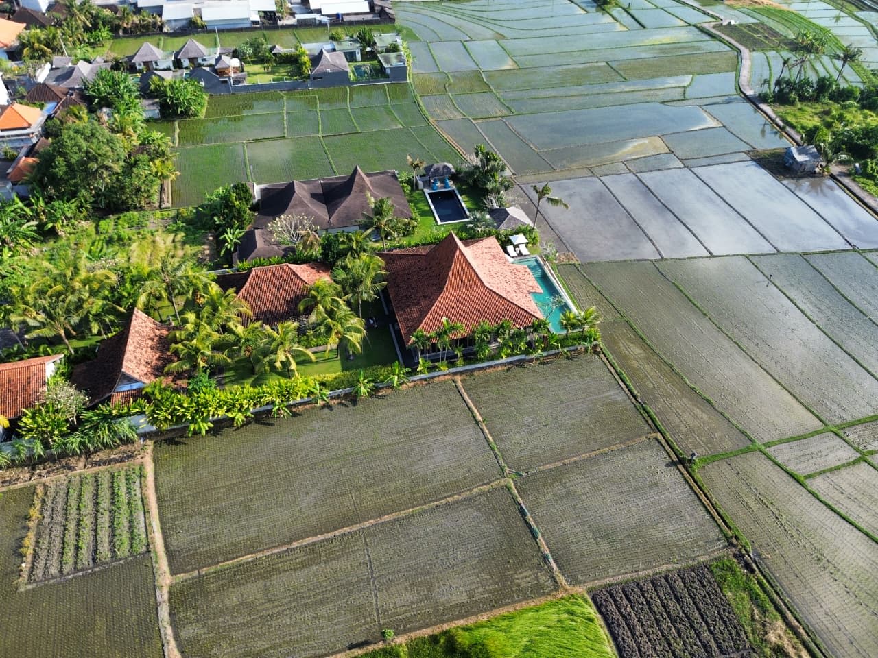 4-Pavilion Joglo Compound with Infinity Pool & Rice Field View – Nyanyi Beach, Tabanan