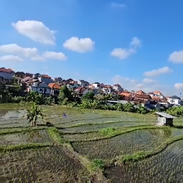 274 m² Freehold Land for Sale in Padonan – Ready to Build