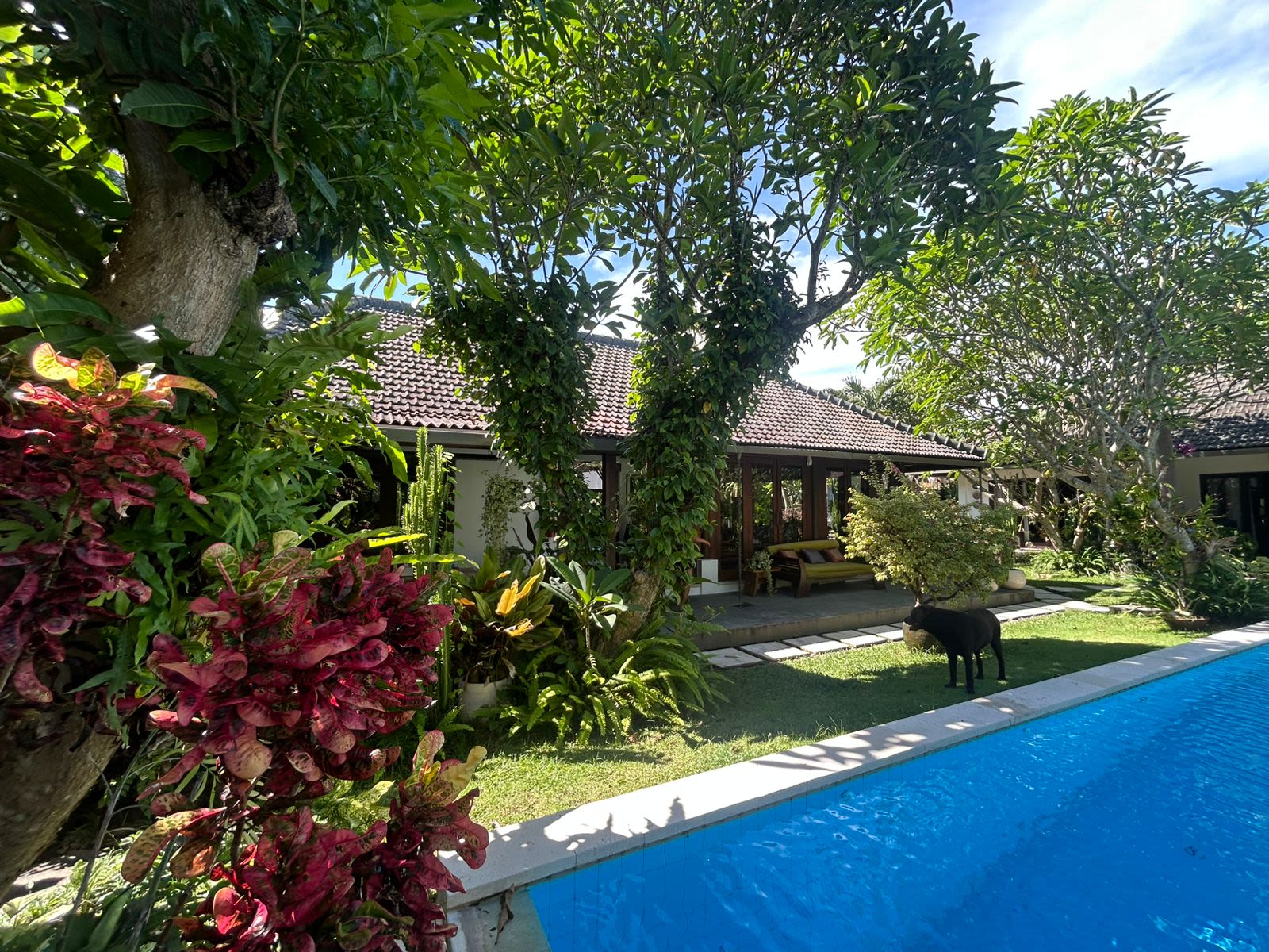 Freehold 5-Bedroom Villa in Prime Umalas – Recently Renovated