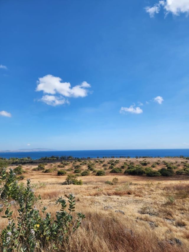 Large Land Opportunity in East Sumba – Beachfront & Savannah View - Image 10