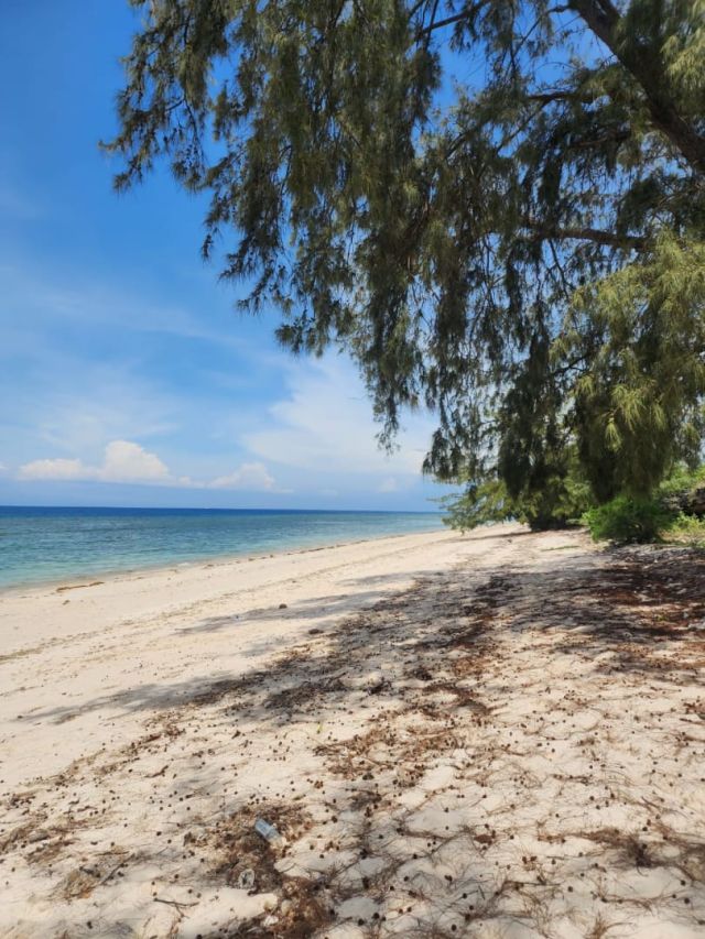 Large Land Opportunity in East Sumba – Beachfront & Savannah View - Image 11
