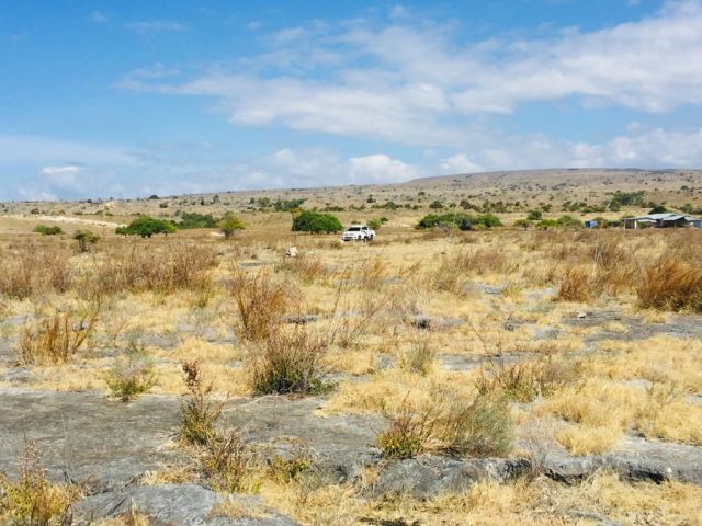 Large Land Opportunity in East Sumba – Beachfront & Savannah View - Image 17
