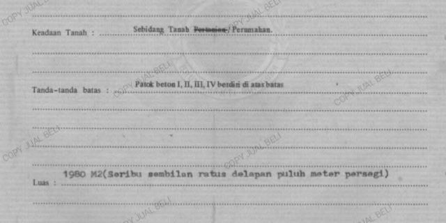 Strategic Land in Cempaka Putih Near Kasih Ibu Hospital Tabanan - Image 5