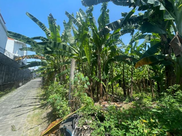 Premium Land Near Batubelig Beach – Walking Distance to Beach - Image 6