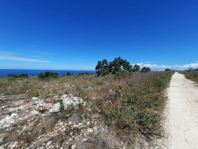 Ocean View Land for Sale – East Sumba - Image 10