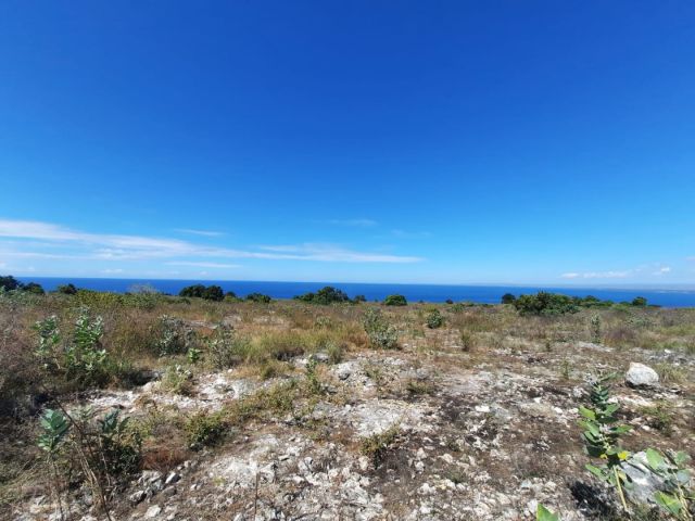 Ocean View Land for Sale – East Sumba - Image 14