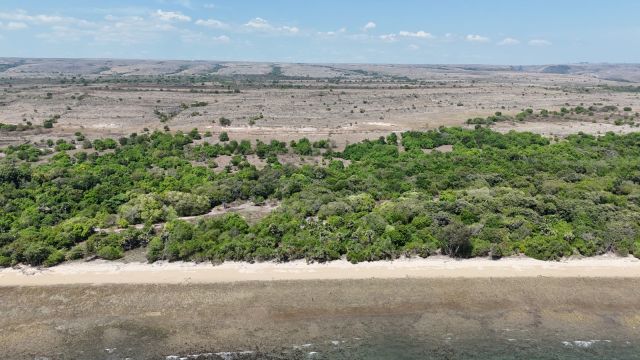 Beachfront Freehold Land in Rodang Beach, East Sumba - Image 7