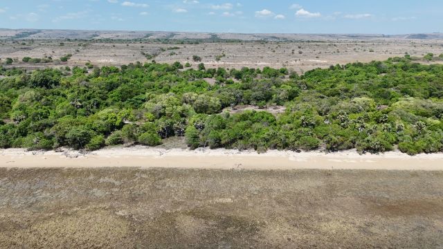 Beachfront Freehold Land in Rodang Beach, East Sumba - Image 9