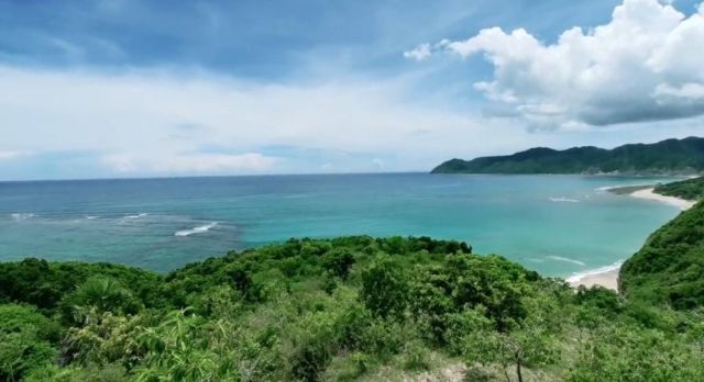 Beachfront Freehold Land in East Sumba – Watuparunu Beach - Image 2