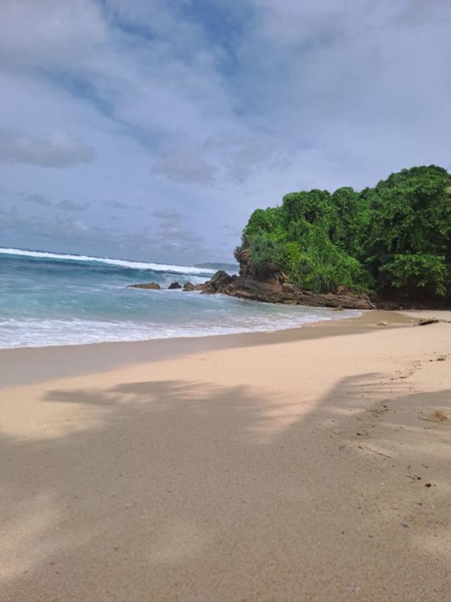 Beachfront Land in Tarakaito Beach, West Sumba – Coconut Trees & White Sand - Image 9