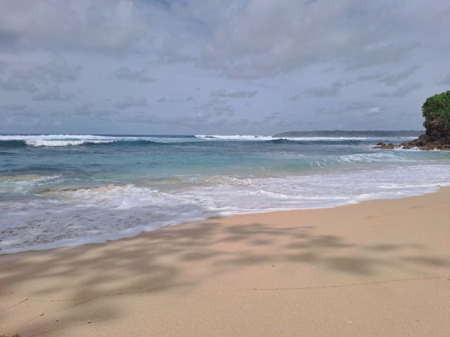 Beachfront Land in Tarakaito Beach, West Sumba – Coconut Trees & White Sand - Image 12