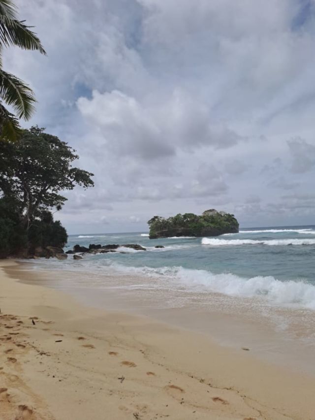 Beachfront Land in Tarakaito Beach, West Sumba – Coconut Trees & White Sand - Image 16