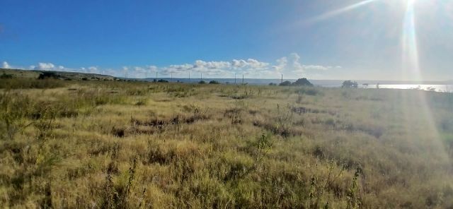 Affordable Ocean View Land in Purukambera East Sumba – 1 Hectare - Image 1