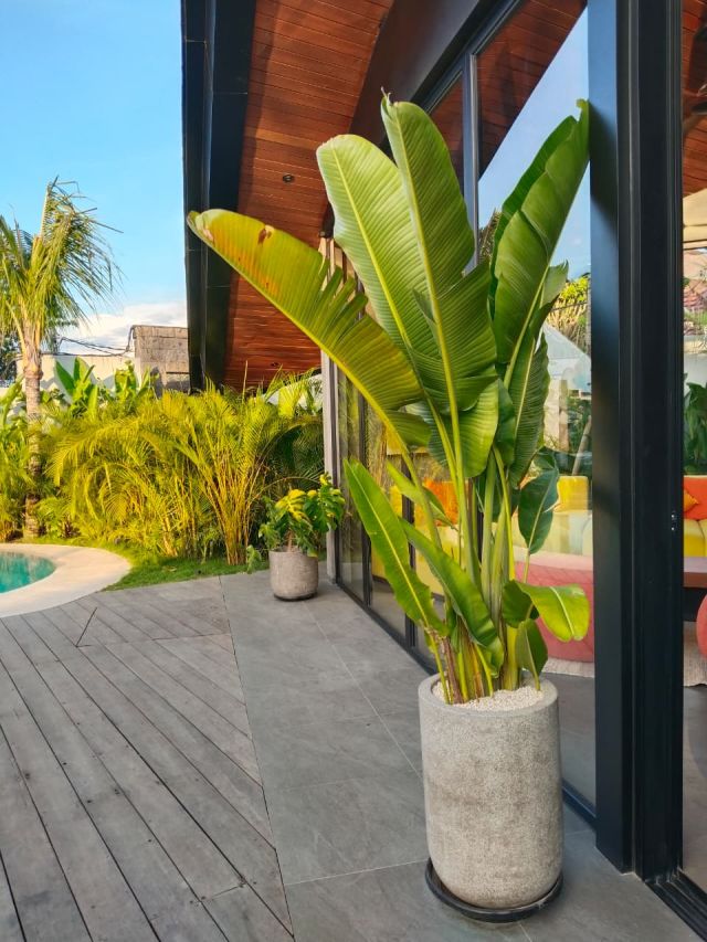 Brand New 5BR Luxury Villa in Batu Bolong – Canggu - Image 20