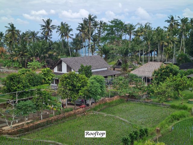 Ocean View Villa in Cemagi – Leasehold Opportunity - Image 45