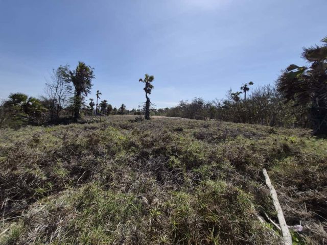 Beachfront Freehold Land with Spectacular Views – East Sumba - Image 14