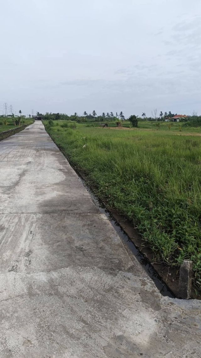 Strategic Rice Field View Land Near Tanah Lot & Kedungu Beach - Image 6
