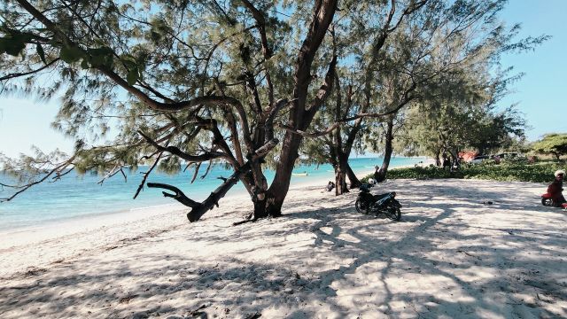 Beachfront Land with Pink Sand & Turquoise Water – Purukambera Beach, East Sumba - Image 2